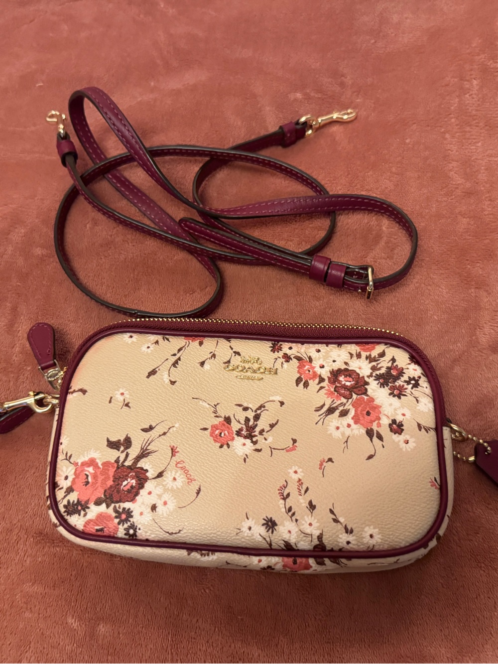 Coach Sadie Crossbody Clutch
